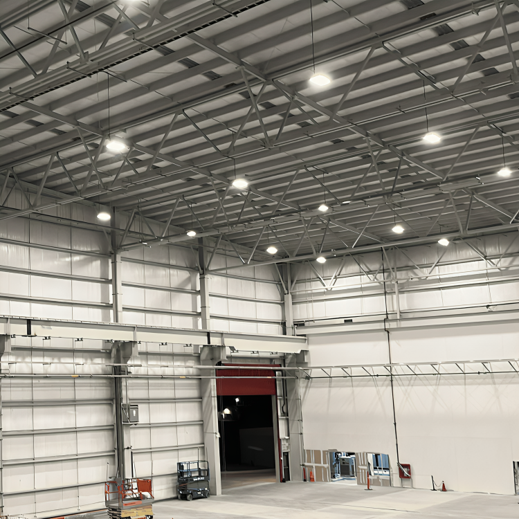 ESTRUCTURA METÁLICA PARA NAVE INDUSTRIAL TTGP – CELAYA, GUANAJUATO